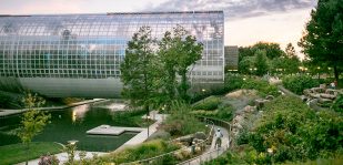 crystal bridge