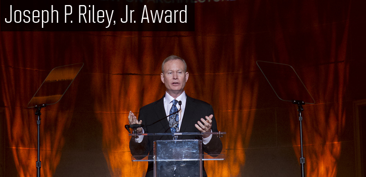 AAF Awards Gala 2013