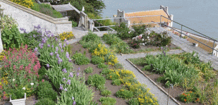 Alcatraz Gardens