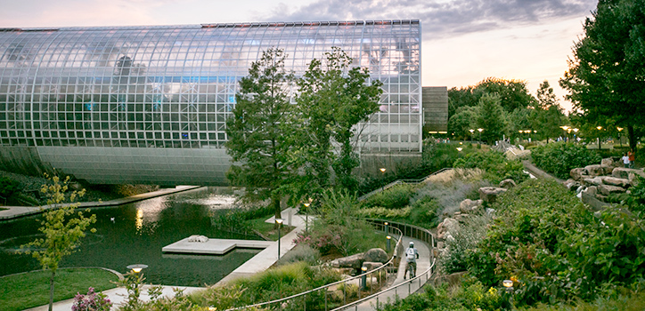 crystal bridge